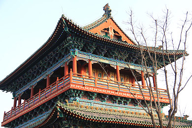 丝瓜,芭乐,猫咪,草莓,小猪绿巨人,都市田园乐，萌宠相伴趣-1