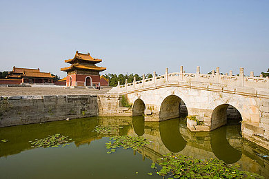 大菠萝福利网站,福利狂欢，一网打尽！-1