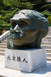 95版意大利《泰山》,《泰山》经典重现，唤起儿时回忆-1