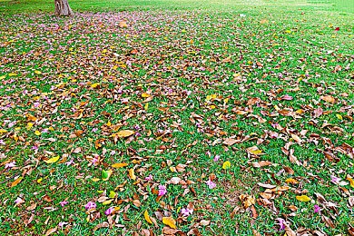 射精网站,揭秘：新型网站助力性福生活