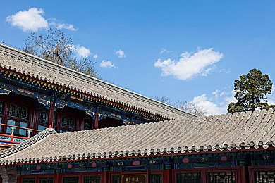 三级农村妇女下乡,农村妇女新活力，助力乡村振兴-2