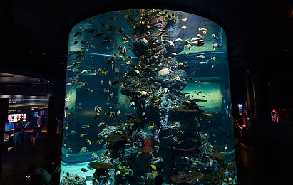xx视频,视频新宠：xx视频，沉浸体验，海量内容-2
