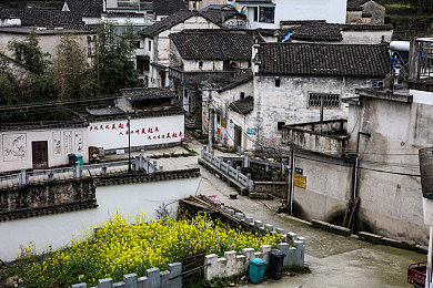 女初 高中 拍击 打屁股,校园冲突引关注，家校共筑安全墙-2
