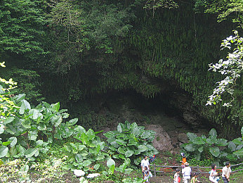 中国浓毛大泬特写,水墨风冒险游戏走红，中国元素惊艳世界-3