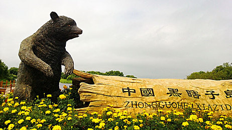 www网站你应该知道我说的意思吧,奇幻世界新游，探索宝藏之旅-2