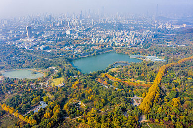 国产又粗又猛又爽又黄的,国产电影新标杆，狂潮好评如潮