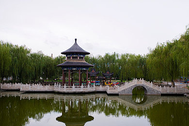 天涯海角妈妈绿意盎然,寻母之旅，感受母爱温暖-1