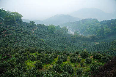 juliaann和小男孩,奇幻冒险之旅，双主角游戏引关注-5