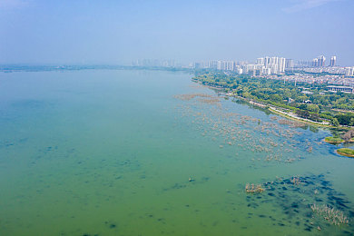 17.c,奇幻世界新潮流，游戏热潮来袭