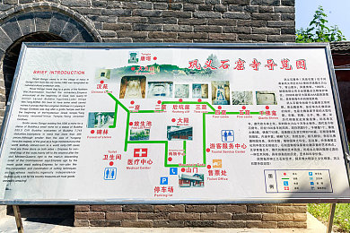 天天舔天天,养生新宠，健康生活必备-3