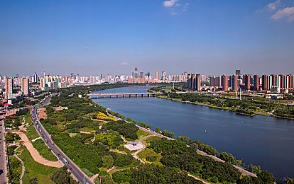 天天操天天舔,奇幻冒险新宠，趣味游戏来袭-1