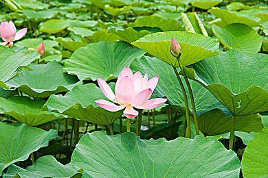 天天操天天操,健康生活，从“操”做起-3