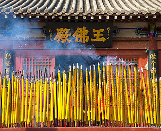 免费黄色软件安装,奇幻世界寻宝藏，免费游戏引狂潮-4