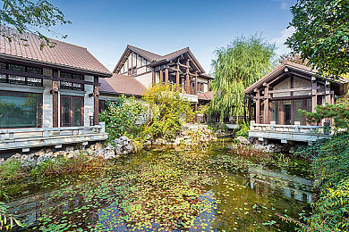 丁香花婷婷,春花新宠，丁香花婷婷走红市场-2