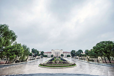 好大公 快用力日 日深点痒电影,家庭困境中的温情力量-2