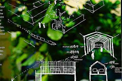 小黄鸭app色版 网站免费,社交新宠，免费体验！-3